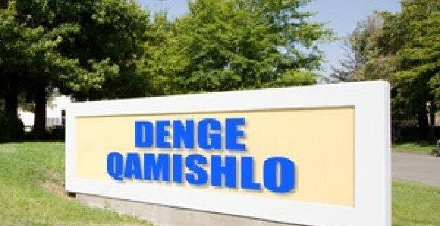 denge qamishlo